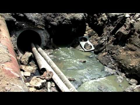 Grinding Nemo - a film about fish meal