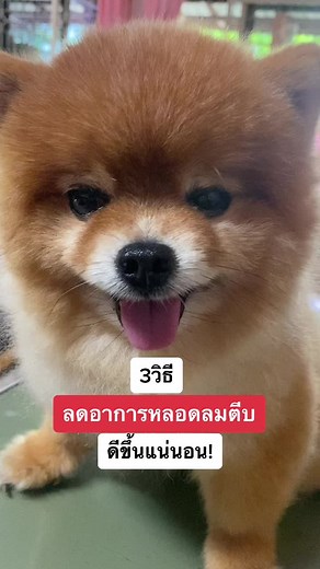วิธีลดอาการหลอดลมตีบ: 3 วิธีที่ช่วยดีขึ้นแน่นอน!
