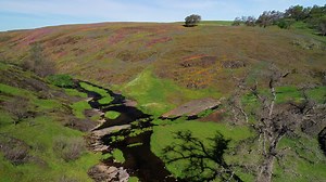 25K views · 291 reactions | Fly over Table Mountain and experience the beauty of the water, greenery, and of course the wildflowers! Drone video shot and edited by John Hannon. | Northern California Water | Facebook