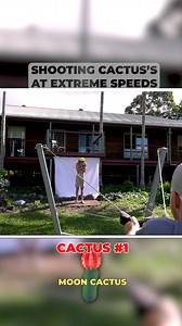 Shooting Cactus's At Extreme Speeds! #cactus #slingshot #stunt | Marty and Michael
