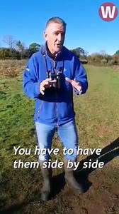 Iolo Williams has issued a passionate plea to Velindre asking them not to build their new cancer centre on one of the last wild areas in Cardiff. Supporters say the new £180m hospital will offer crucial support and care to cancer patients in Wales. But, Iolo is asking them to consider finding another site. | WalesOnline