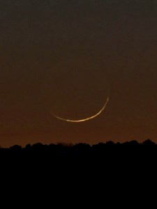 4.2K views · 158 reactions | Crescent moon setting this evening | Srikanth Boga Photography | Facebook