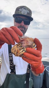 Barnacle Chronicles & Blue Lingcod Fish Unite #seafood #crab #bigfish #fishing #barnaclechronicles #ocean #friendliestcatch #rockhold | Matt Rock