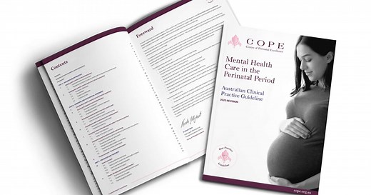 2023 National Perinatal Mental Health Guideline