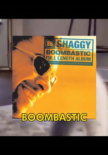 Mr. Boombastic: A Fun Cat Video Experience