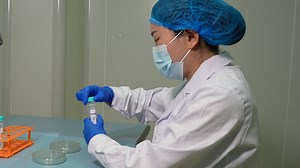 Isolation and Culture of Primary Retinal Müller Cells from Sprague-Dawley (SD) Rats