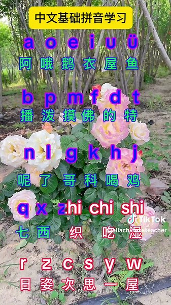 中文基础拼音学习#Chinese Pinyin#Chinese #mandarin #chineseteacher #中文学习 #fyp #foryou #Chineselearning #spoken #learn
