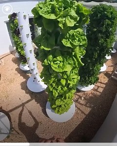 25K views · 125 reactions | The future of farming  | The London Economic | Facebook