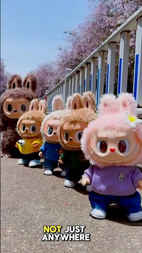 Labubu zimomo becomes the cameraman for a colorful labubu video❤️❤️#labubu #cute #flipwithme