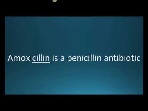 How to pronounce amoxicillin (Amoxil) (Memorizing Pharmacology Flashcard)