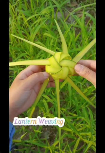 Turn Simple Palm Leaves into a Stunning Lantern! ✨ (Traditional Weaving Art)