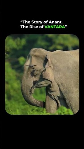 The Rise of Vantara #Vantara #AnantDadaEra #AnantAmbani