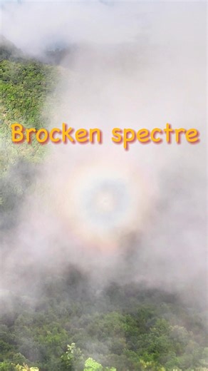 The Brocken spectre, a rare optical illusion, was recently captured by a shutterbug at a nature reserve in SW China's Yunnan Province. #China #OpticalSight #BrockenSpectre | China Xinhua News