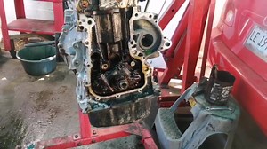 14K views · 712 reactions | Se nos está complicando el Toyota Corolla con falta de mantenimiento, veamos los estragos que ha dejado el no cambiar el aceite a tiempo, además de los problemas de lubricación en el motor!!!! | Casa del Sensor Nicaragua | Facebook