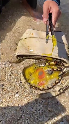 Catching a Giant Red Fish Using an Egg! 🥚🐟 Unbelievable Beach Fishing