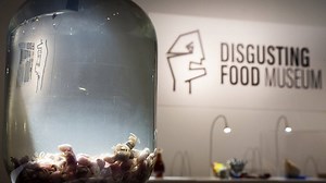 324K views · 1.8K reactions | The Disgusting Food Museum opened in Sweden with 80 items from 35 countries and regions. For the convenience of visitors, vomit bags act as museum tickets. The collection includes items like mouse wine, sheep eyeball juice, casu marzu, durian, pidan (preserved egg), etc. Besides being an entertaining experience, the exhibition also has a serious message: What is considered delicious or disgusting is culturally learned. | CGTN | Facebook