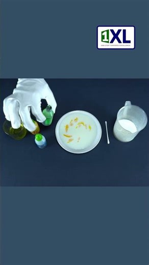 Let’s Try the Viral Fireworks Experiment with Milk & Soap | Science Experiment