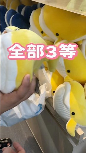 もう一回😜くじ引きやってみた🫣 #shorts #くじ引き #ぬいぐるみ #新江ノ島水族館 #水族館 #enoshima #江ノ島 #えのすい #おすすめ