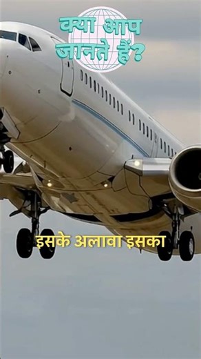 Spontaneous Combustion Risk! Why You CAN'T Fly with a Dry Coconut!​ Airport Security HATES #shorts