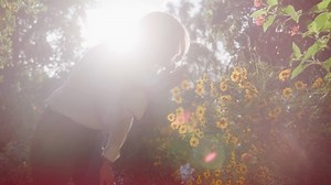 Watch Red Seal Propolis Toothpaste Video on Amazon Live