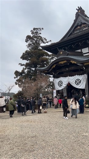 関善光寺（宗休寺） on Instagram: "2026年1月4日 三が日が明けました、本日四日も、境内は多くの方々の笑顔と活気に包まれています。 おみくじをひいたり、温かい甘酒で一息ついたり。 お寺が皆様の集まる場所である事を改めて嬉しく感じています。 明日から日常生活が戻ってくる方も多いと思いますが、ふと心が疲れた時は、いつでも静かなお寺にいらしてください。 ゆっくりとお参りされたい方も、これからの時期もおすすめです。"