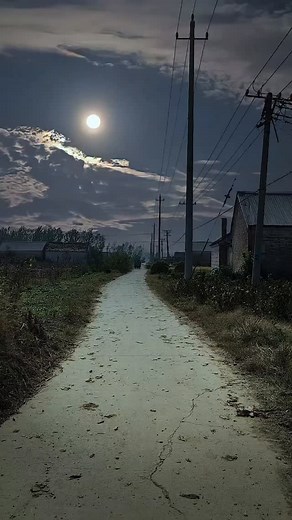 Stop scrolling and just listen. 🦗🔊 No emails, no traffic, no notifications. Just the moon and the crickets. This is the kind of peace money can't buy. Save this for when you need to calm down. 🧘‍♂️ . . #SlowLiving #NatureTherapy #VisualASMR #Peaceful #MentalHealthMatters #NightWalk #Moonlight #ZenMode #EscapeTheMatrix #QuietLife #reels #viral #trending #rurallife #nostalgia #childhoodmemories #village #night #explore #nature | Thenightscenery