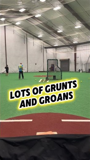 Never Trust a Net!!!!