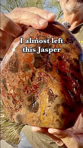 I nearly missed this hunting for agate in New Mexico - Jaspers beyond anything I've seen