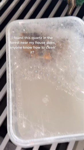 How to Clean a Quartz Found in the Forest Near Your House