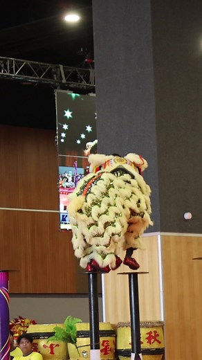 Chinese lions are vegetarians. The goal of most lion dances is to "pick the green". Traditionally, the green is lettuce, as its Chinese name 生菜 sounds similar to "Creating Wealth" (生财). The green is usually hang at a high or hard to reach point to challenge the skill of the lion dancers. Once the green is successfully plucked off, the lion will chew it and spit out the shatters, which symbolizes the overflowing of money. Nowadays, the green is replaced by plastic leaf, fruit or flower in many pe