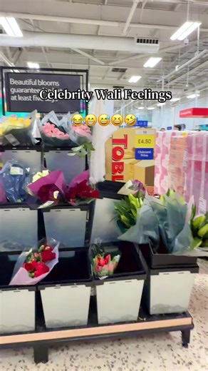 Funny Celebrity Feelings Compilation