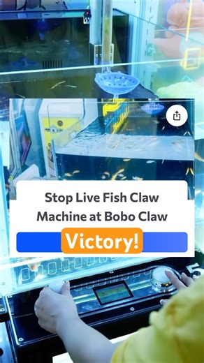 Bobo Claw arcade shuts down live fish claw machine for good