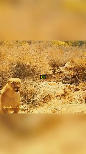 7.3K views · 25 reactions | #HauntingEdit #FearVibes #NightmareReel #DarkCinematic | Valentin Valentin | Facebook