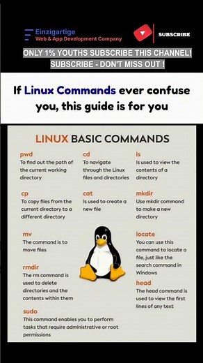 Subscribe 👍 Like ❤️ | 10 Linux Commands You Must Know #shorts #viral #youtubeshorts
