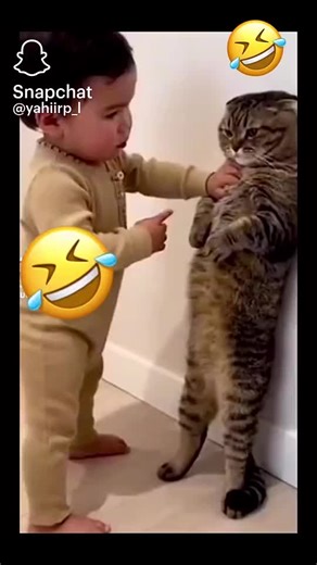 Kathy p1125 (@catalinapastrana279)’s videos with sonido original - Kathy p1125