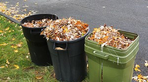Little Rock resumes yard waste collection
