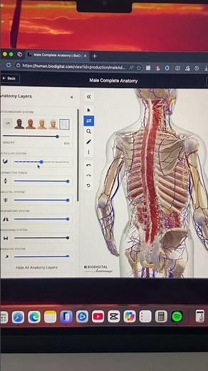 How the human body works in 3D for free.