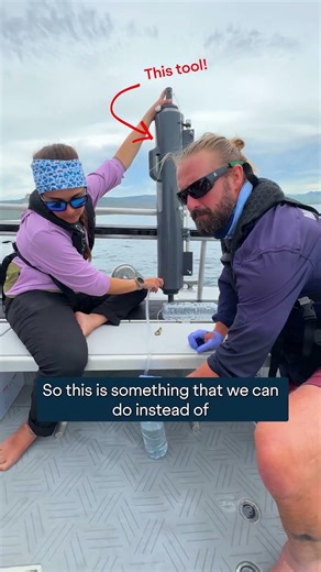 How Scientists Track Blue Whales Without Touching Them | OceanX Timor-Leste Mission