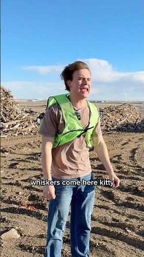 Finding my cat in the trash dump