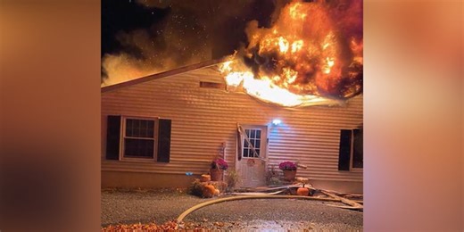 ‘Unimaginable tragedy’: Dozens of shelter dogs killed in overnight fire
