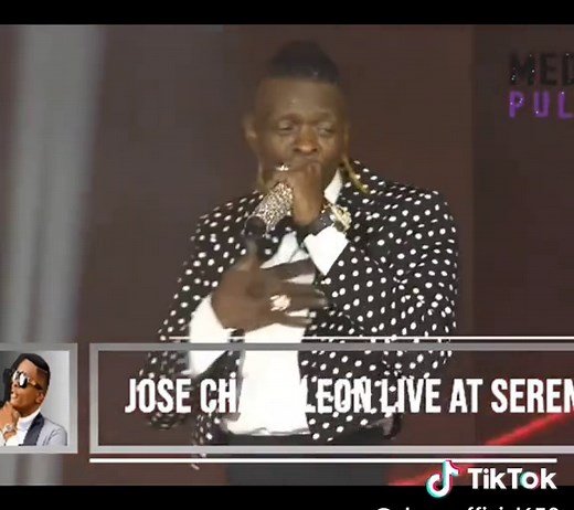 Jose Chameleon's Live Performance Highlights