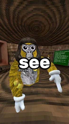 I tested Gorilla Tag's CRAZIEST myths... #gorillatag #gorillatagquest #vr #vrrock #gtag #funny