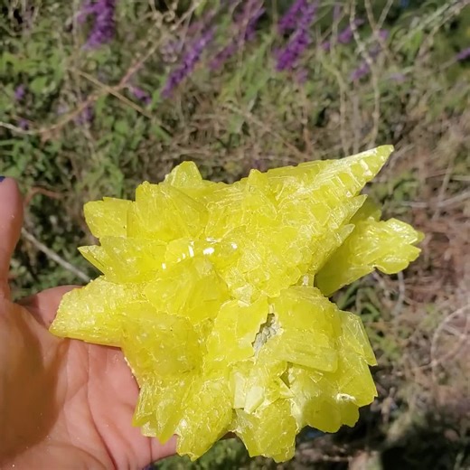 Sulphur Sulfur Crystal Specimen Cabinet Display Point Cluster 702 Grams - Etsy