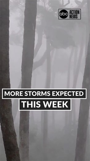 900K views · 7.3K reactions | VIDEO: Hail and high winds from a fast-moving storm in Tampa, Monday. More storms are expected this week. | Tampa Bay 28 - WFTS | Facebook