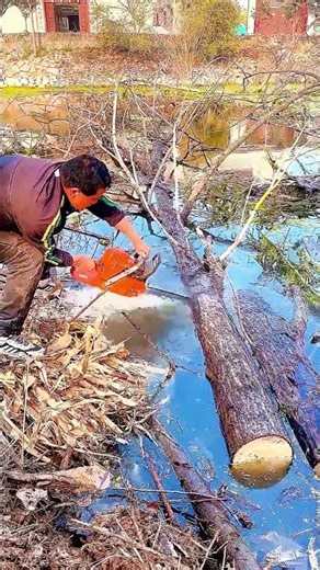 Genius Floating Tree Cutting Trick—Chainsaw Blade in Water Works !​
