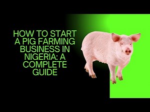 How to Start a Pig Farming Business in Nigeria: A Complete Guide