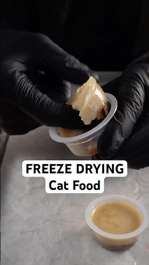 Can You Freeze Dry Cat Food?