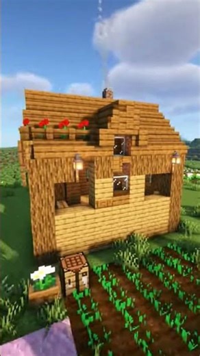 #minecraft #house #memes