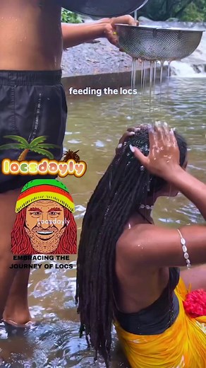 Feeding the locs... 🤎🖤 Follow @locsdayly @locsdaylyhaircare for more ##locsdayly #locs #barbershop #locjourney #locprocess #locbeauty #viral #Loccommunity #fyp #blackhair #viralreels #womenwithlocs #explorepage #igfeeds #instagramfeed #instagramfollow #fblifestyle | Locsdayly