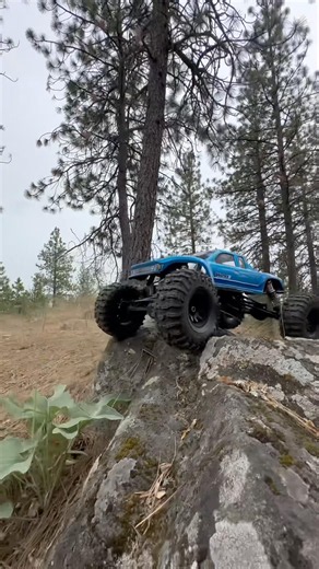 Rc rock crawler 1/6 scale Redcat Vertex6